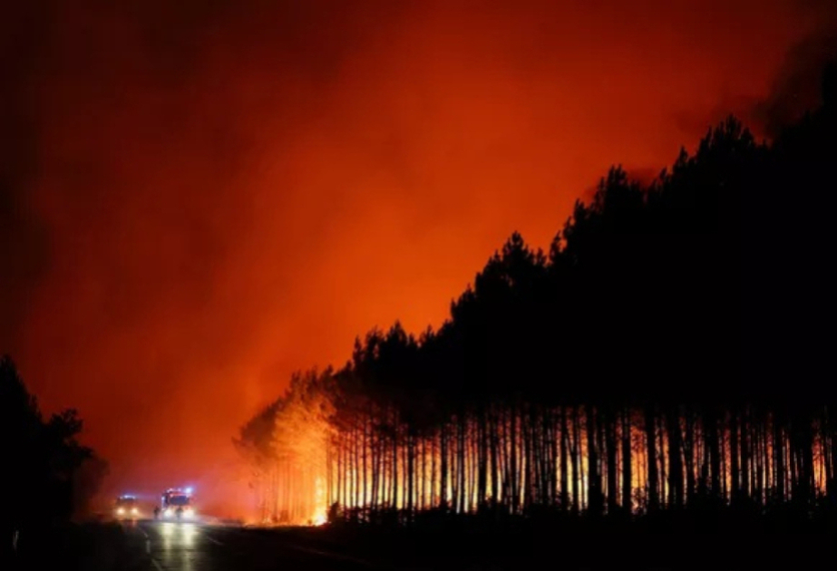 Croatie : plus de 1.000 personnes évacuées en raison d'un incendie de forêt