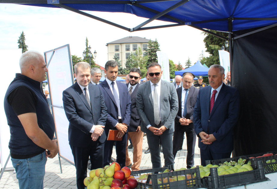 Qusarda festivalda 70-dən çox meyvəçilik təsərrüfatı subyekti, fermer və sahibkar iştirak edib