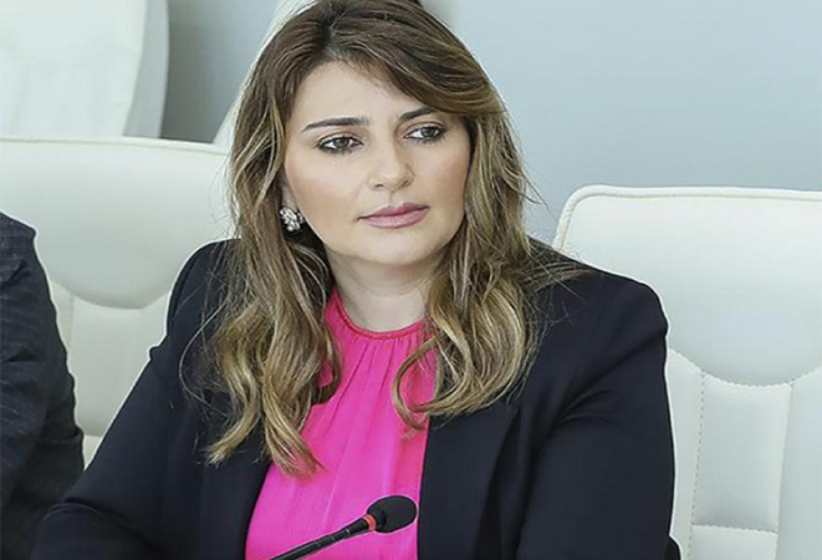 Naxçıvanın inkişafına yönəlmiş genişmiqyaslı layihələr regionun gələcəyinə verilən önəmin bariz ifadəsidir - MÜSAHİBƏ