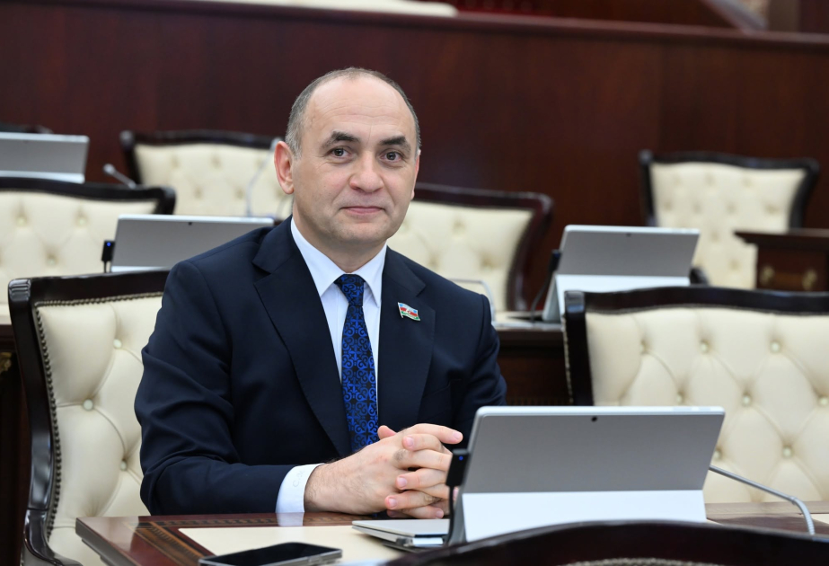 Naxçıvanda iqtisadi inkişafla yanaşı, şəhid ailələrinə dövlət qayğısı da xüsusi diqqət mərkəzindədir  RƏY