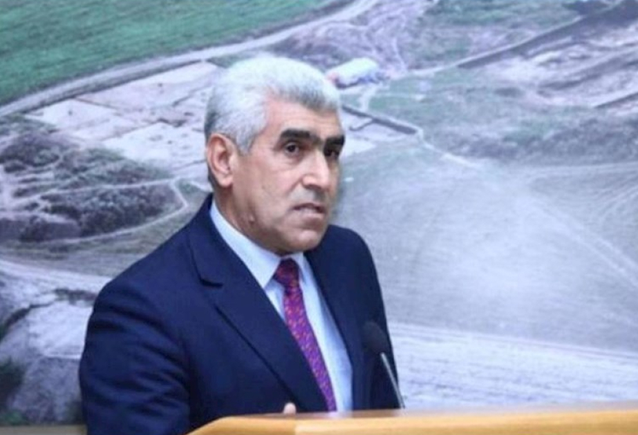 Ekoloq: Şəhər mühitində yaşıllıq sahələrinin artırılması vacibdir
