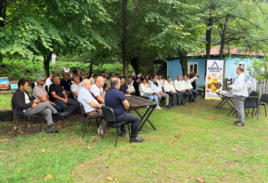 Zaqatalada arıçılar üçün beynəlxalq ekspertin iştirakı ilə maarifləndirici sahə görüşü təşkil olunub