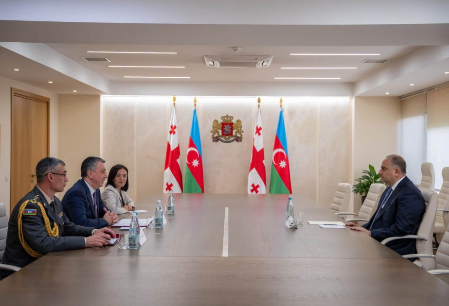 Azerbaijan, Georgia explore defense cooperation
