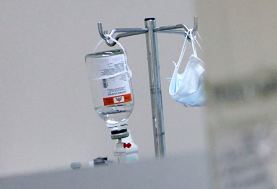 Braziliyadakı sarı qızdırma epidemiyasının səbəbi tapılıb