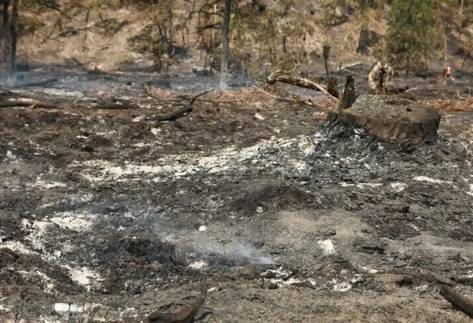 Incendie en Landes : plus de 1 580 hectares parcourus, 650 personnes évacuées