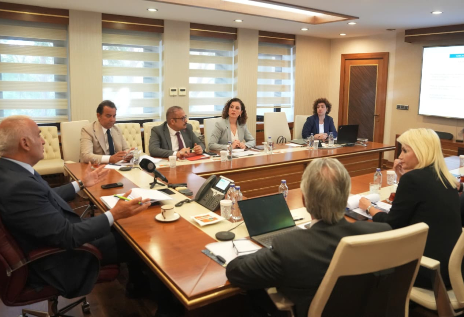 İstanbul UNESCO Dünya İrsi Komitəsinin 49-cu sessiyasına ev sahibliyi edəcək