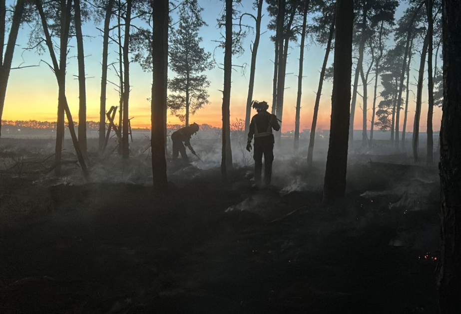 EU mobilizes support as wildfires spread across Europe