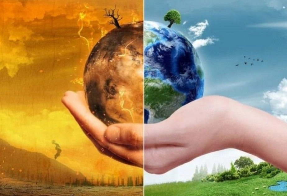 L’herbe sous nos pieds : pourquoi les terres de parcours naturels sont essentielles