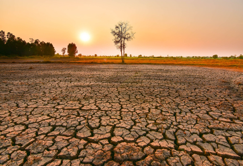 NOAA: El-Nino hadisəsinin rekord həddə çatma ehtimalı yüksəkdir