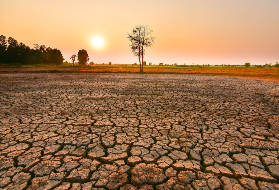 Le phénomène El Niño a des répercussions dans la Corne de l'Afrique