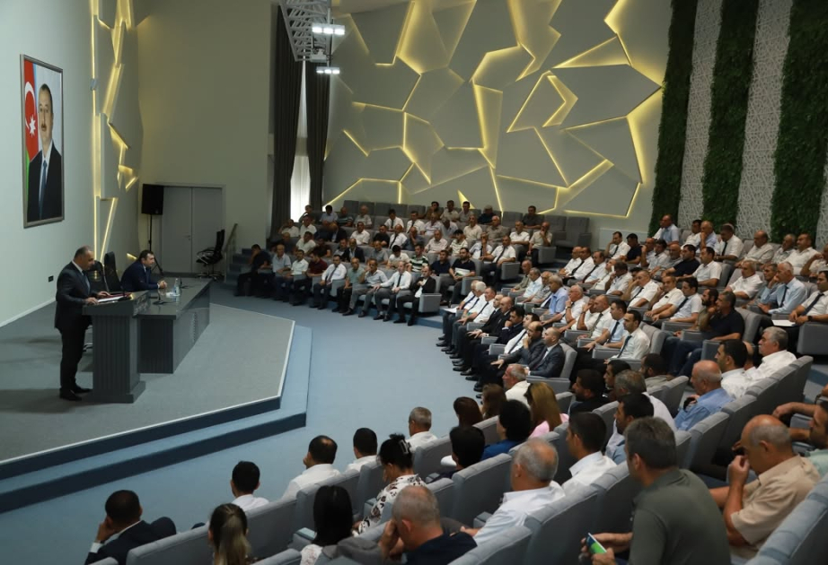 Şəkidə qəhvəyi mərmər bağacığına qarşı mübarizə tədbirləri müəyyənləşdirilib
