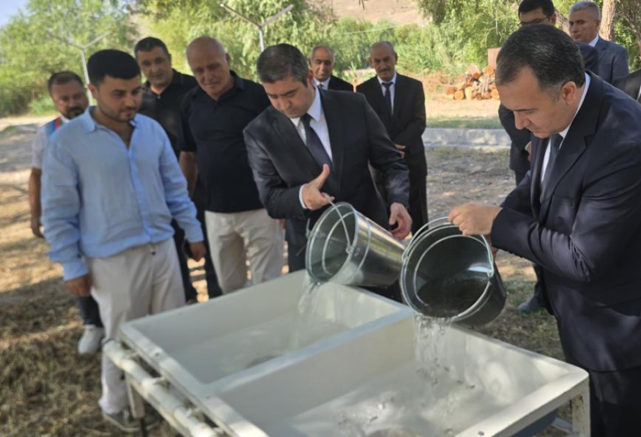 Naxçıvanda balıqçılıq təsərrüfatları bərpa olunur: onlarla yeni iş yeri yaradılacaq