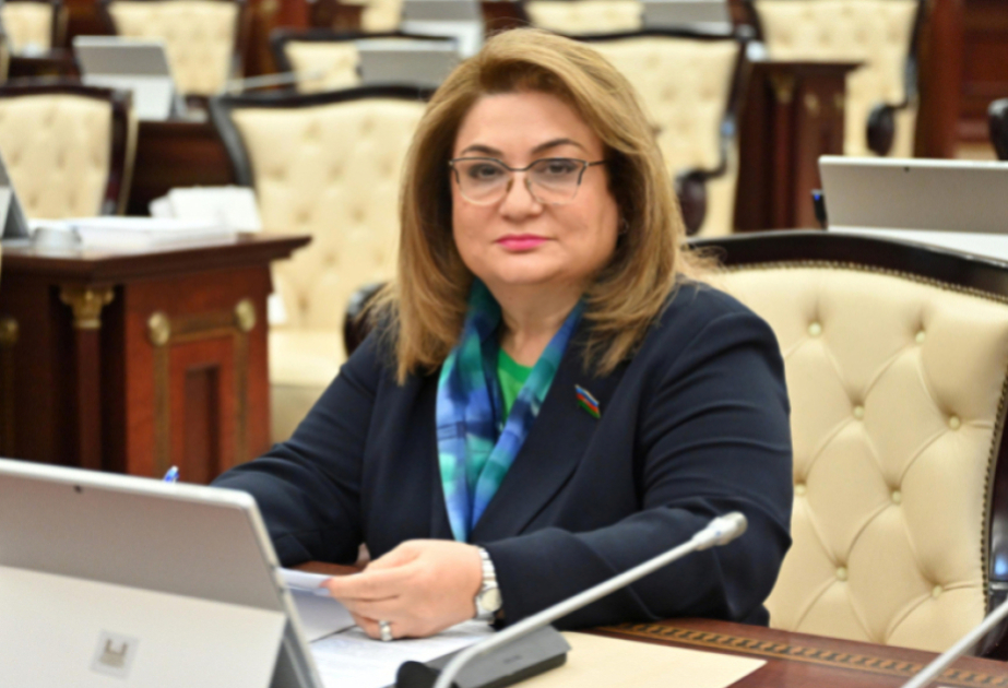 Azərbaycan və Özbəkistan münasibətləri yeni tarixi mərhələ astanasında  ŞƏRH