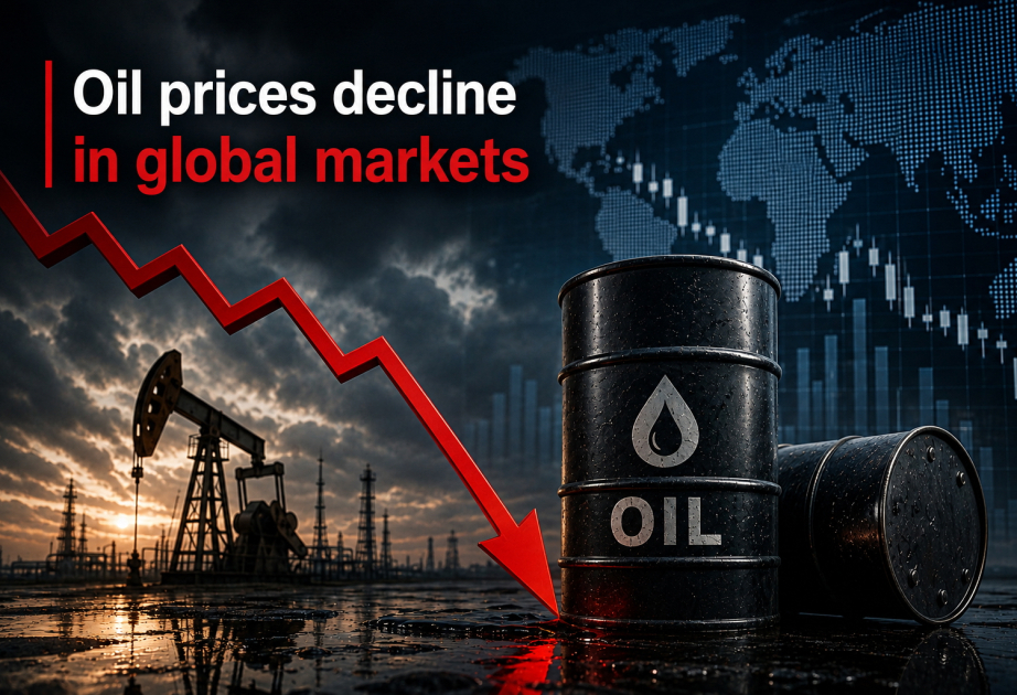 Azerbaijani oil sells for $95.13