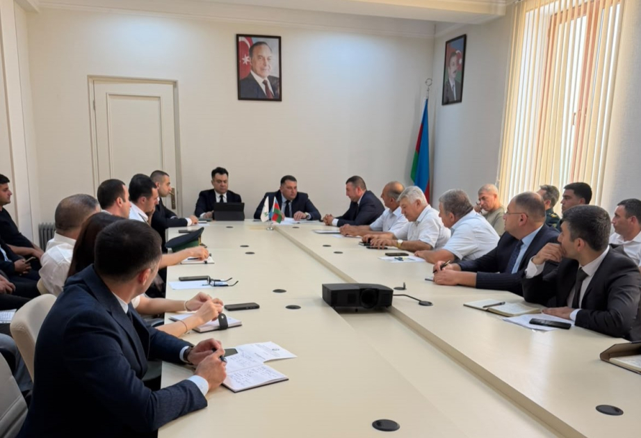 Qəhvəyi mərmər bağacığı ilə mübarizə tədbirləri davam etdirilir