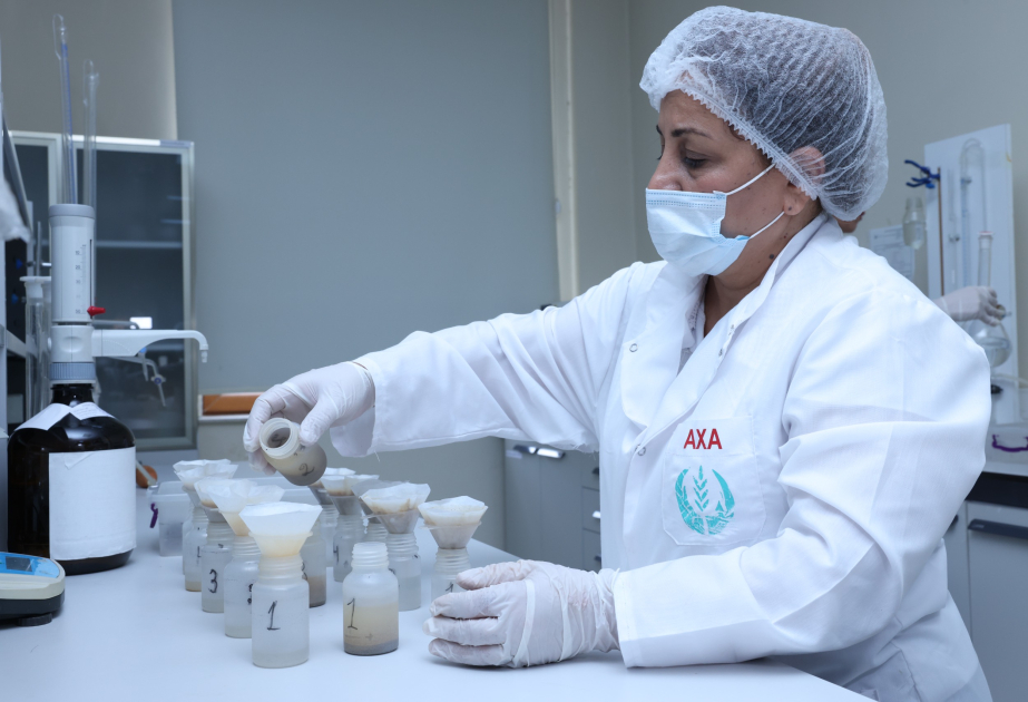 Aqrar Xidmətlər Agentliyinin Mərkəzi Laboratoriyasında bu il torpaq üzrə 803 nümunə qəbul edilib
