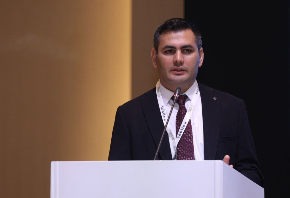 Ekspert: Gələcəkdə əsas təhlükə AI-nin özü deyil, insanların ondan necə istifadə etməsi olacaq