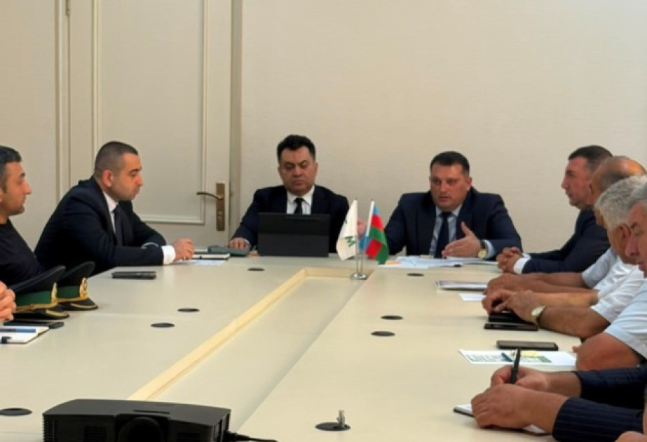Qəhvəyi mərmər bağacığı ilə mübarizə məqsədilə 26 minə yaxın feromon tələ quraşdırılıb