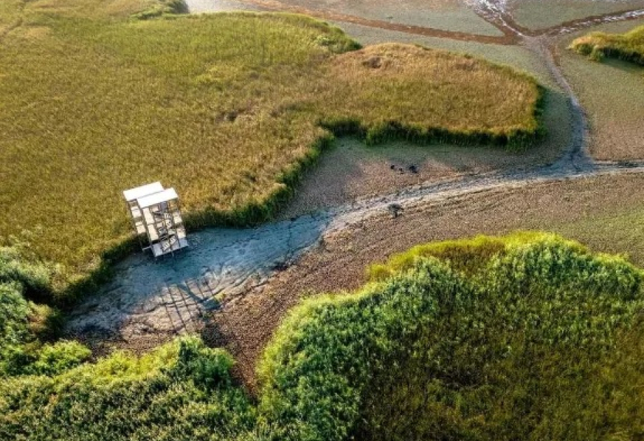 Another popular Hungarian lake dries out, Bölömbika lookout shows critical conditions