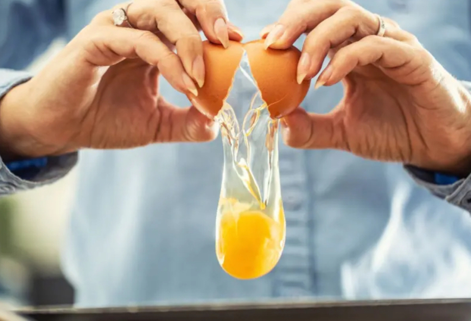 UK salmonella cases nearing 500 as egg investigations continue
