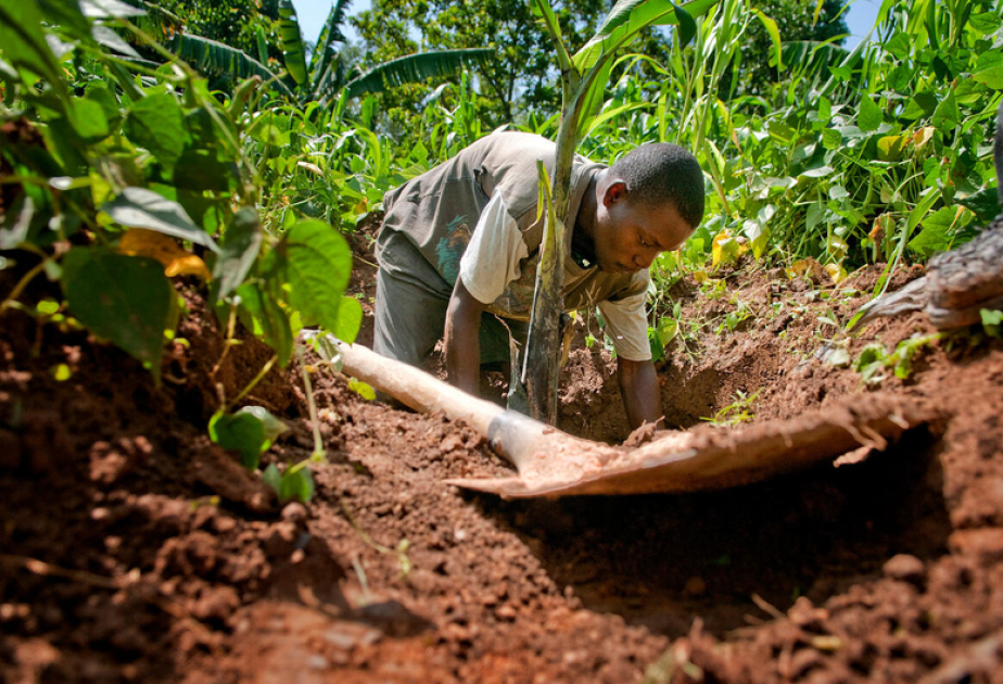 UN: Land models sprout as degradation threatens billions of livelihoods