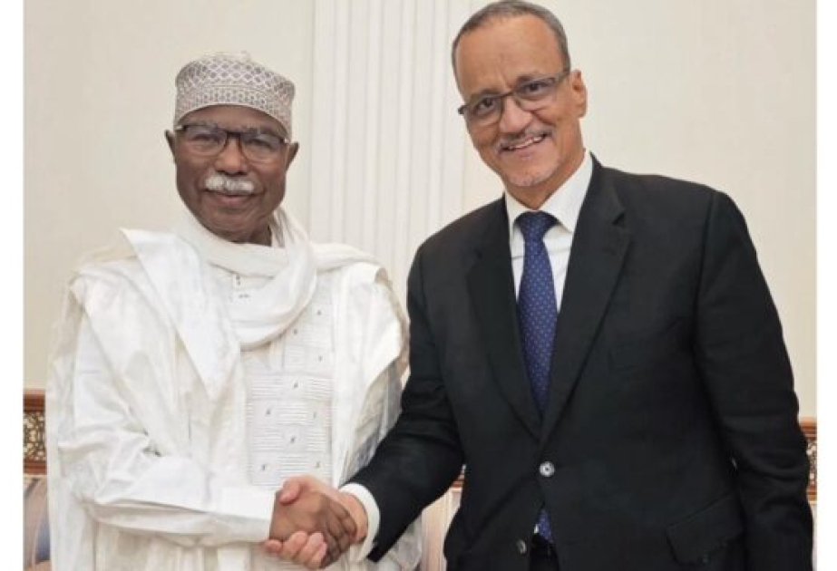 Ismail Ould Cheikh Ahmed assume les fonctions de secrétaire général de l'Organisation de la coopération islamique