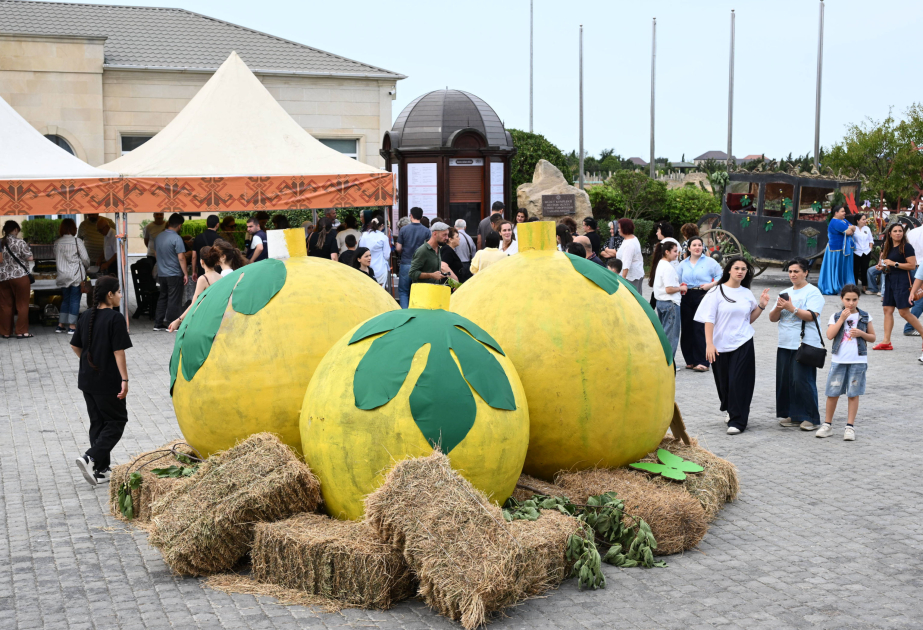 Qala Əncir Festivalı: dad, ənənə və sənət bir arada