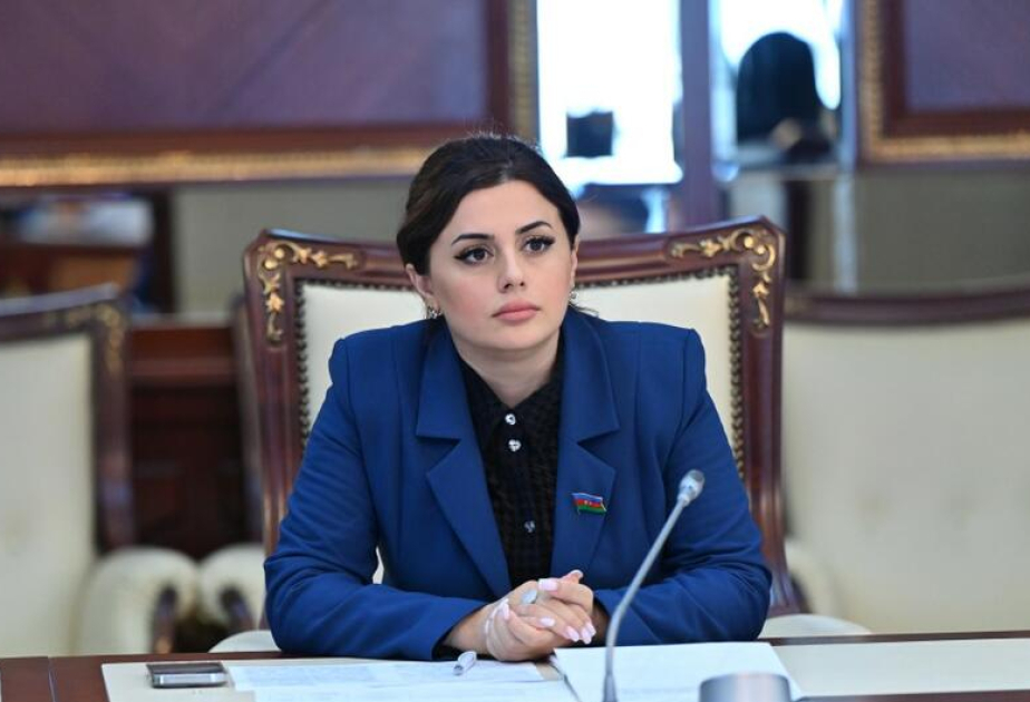 Deputat: Azərbaycan artıq orta güc dövlətinə çevrilib