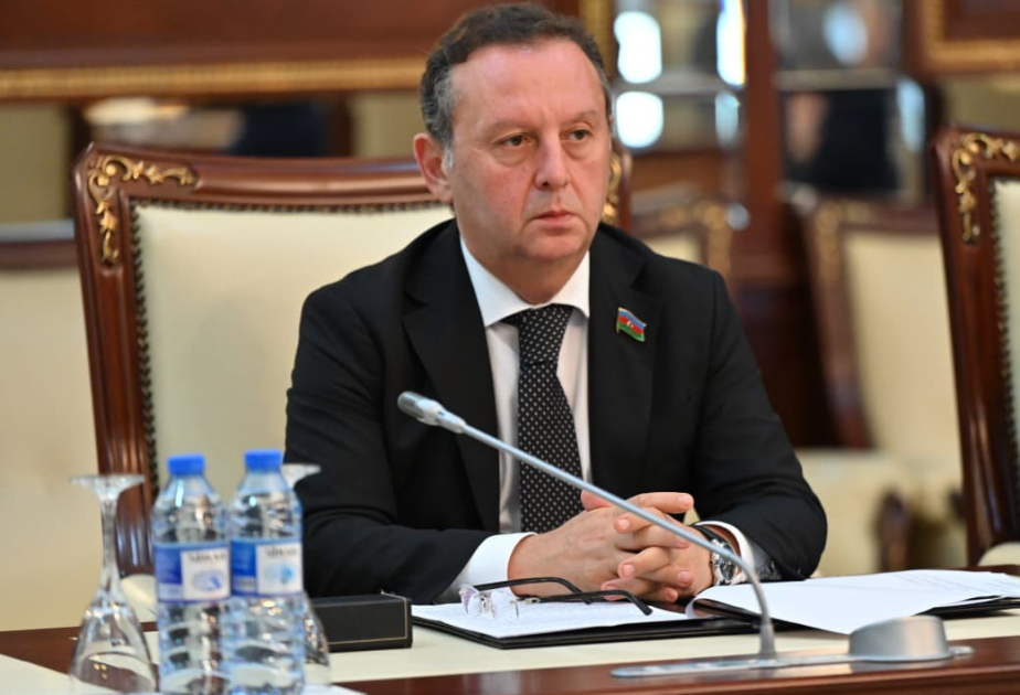 Şanxay Əməkdaşlıq Təşkilatı Azərbaycanın böyük önəm verdiyi mühüm beynəlxalq platformadır -  RƏY