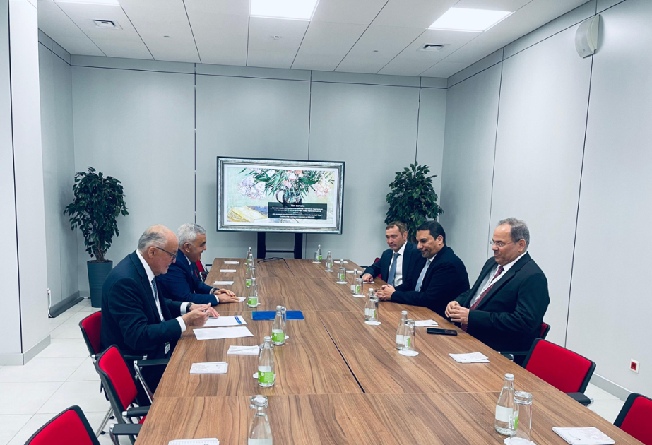Azerbaijan participates in Tatarstan Petrochemical Forum in Kazan