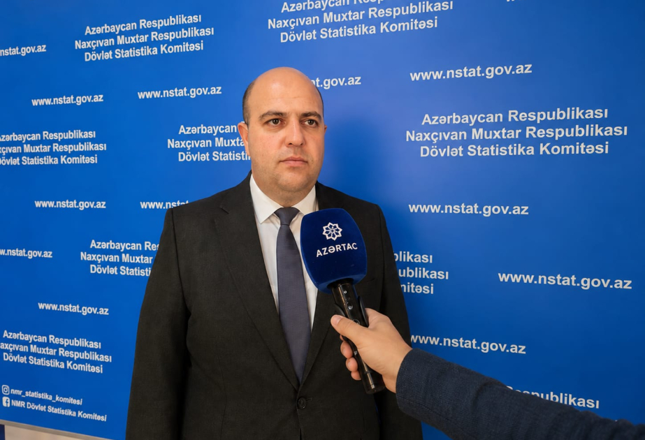 Naxçıvanda taxıl istehsalı 22 faiz artıb – Açıqlama
