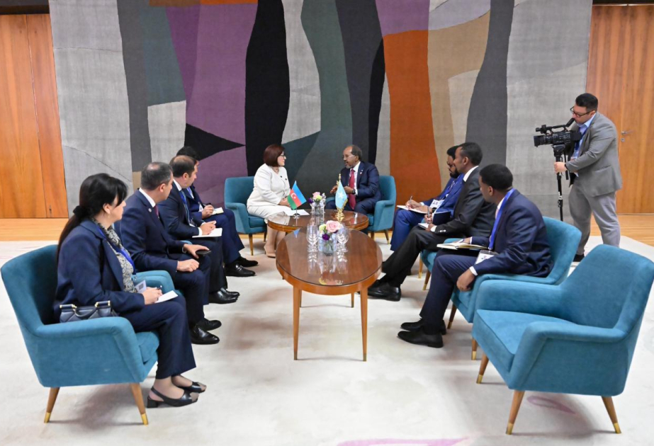 Milli Məclisin sədri Sahibə Qafarova Somali Prezidenti ilə görüşüb