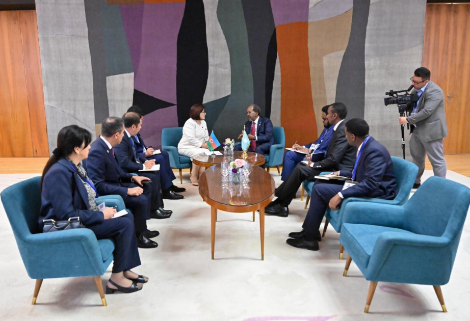 Speaker of Azerbaijan’s Milli Majlis meets with President of Somalia