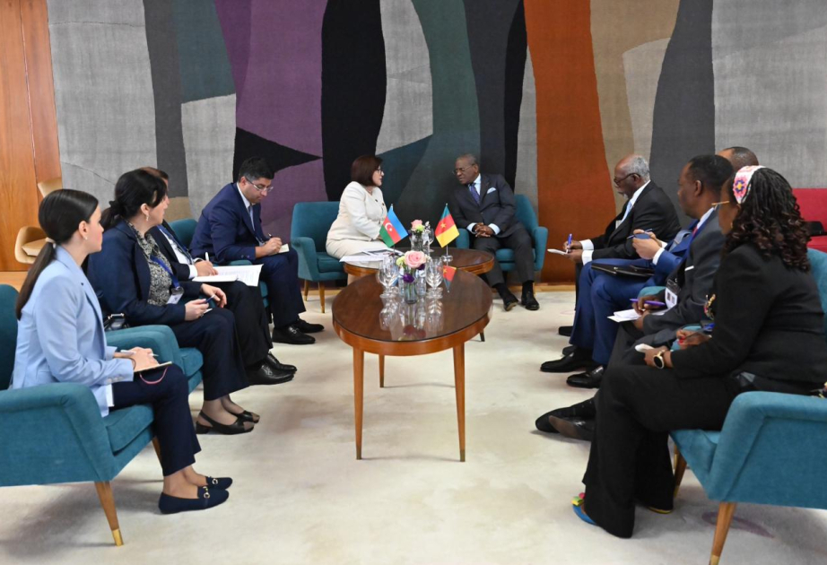 Entretien de la présidente du Milli Medjlis avec le Premier ministre de la République du Cameroun
