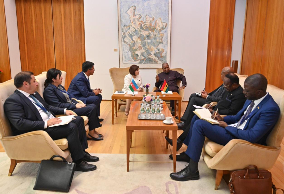 Sahibé Gafarova rencontre le président de la République du Ghana