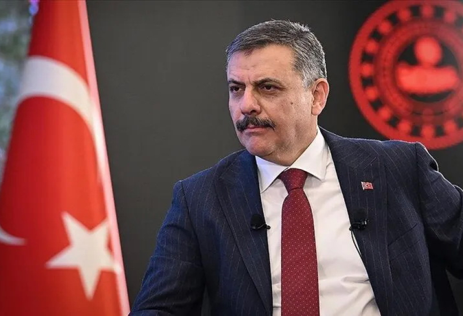 Nazir: Son 7 ayda Gürcüstandan Türkiyəyə 866 cinayətkar ekstradisiya edilib