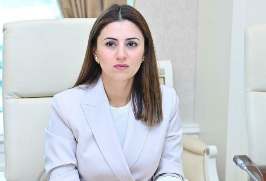 Deputat: Bişkek sammiti Prezident İlham Əliyevin xarici siyasət xəttinin mühüm xüsusiyyətini bir daha ortaya qoyub
