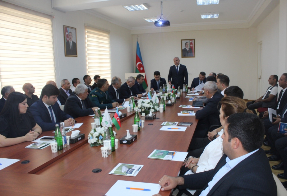 Qəhvəyi mərmər bağacığının yayılmasının qarşısının alınması istiqamətində tədbirlər davam etdirilir