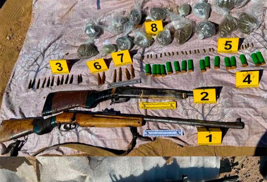 В Казахстане из незаконного оборота изъяли 56 единиц оружия