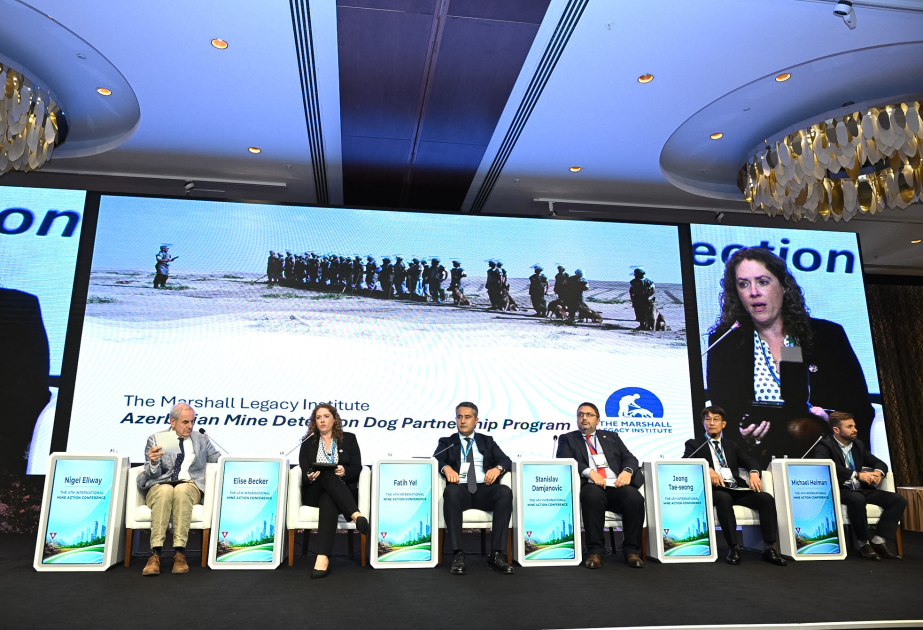 Daha təhlükəsiz və effektiv humanitar minatəmizləmə üçün texnologiya və innovasiya - Panel sessiya