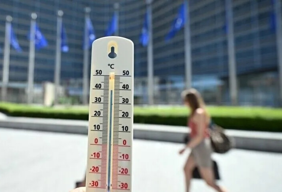 Belgique : près de 3 000 décès supplémentaires enregistrés lors des vagues de chaleur