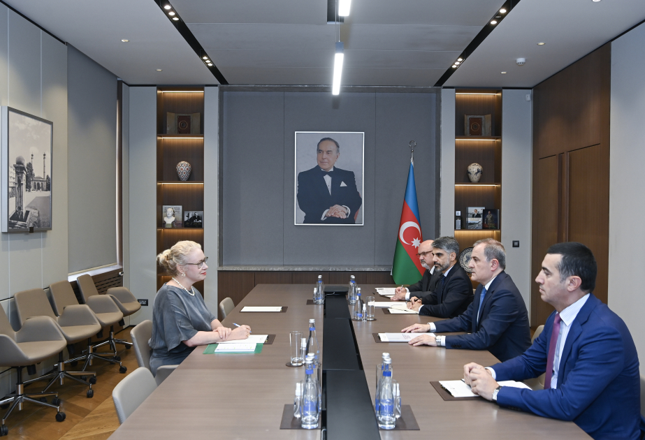 Azərbaycan-İsveç münasibətlərinin inkişafı və regional təhlükəsizlik məsələləri müzakirə olunub
