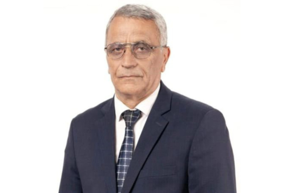 Tarixçi: Şəhidlərin xatirəsi hər birimiz üçün müqəddəsdir, lakin bu, qeyri-peşəkar üsullarla həyata keçirilməməlidir