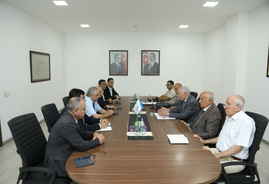 “AzərEnerji” və Azərbaycan Mühəndislik Akademiyası enerji sektorunda mühüm layihələrə başlayır