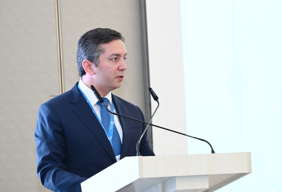Yalçın Rəfiyev: İqlim prosesi öhdəliklərin razılaşdırılmasından onların icrasına keçməlidir
