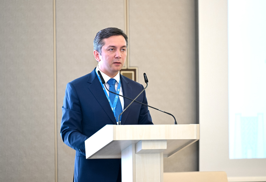 Yalçın Rəfiyev: Azərbaycan COP29 zamanı şəffaflığın siyasi səviyyədə əhəmiyyətinin artırılması istiqamətində aktiv fəaliyyət göstərib