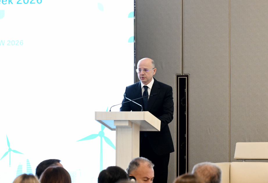 Pərviz Şahbazov: Qalıq yanacaqlardan tələsik imtina uğurlu enerji keçidi demək deyil