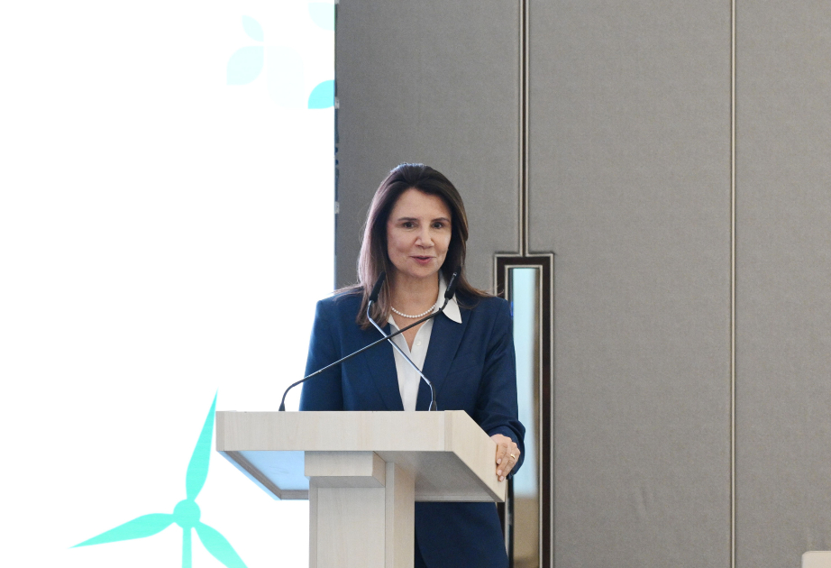 COP30-un icraçı direktoru : İqlim dəyişikliyi ilə mübarizə üçün çoxtərəfliliyi gücləndirməliyik