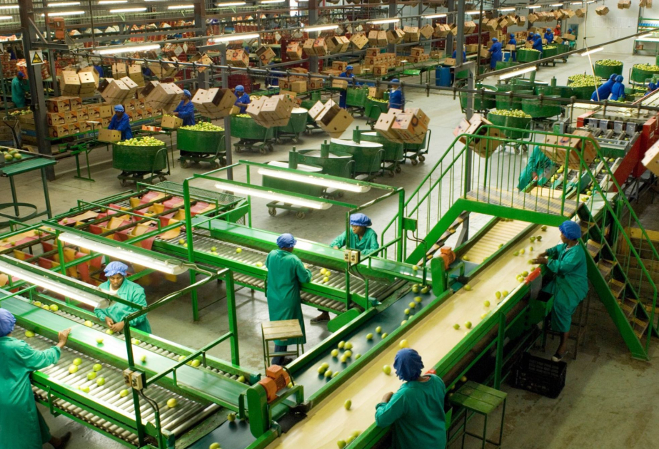 Emala təhvil verilən məhsullar üzrə subsidiyaların əhatəsi genişləndirilir