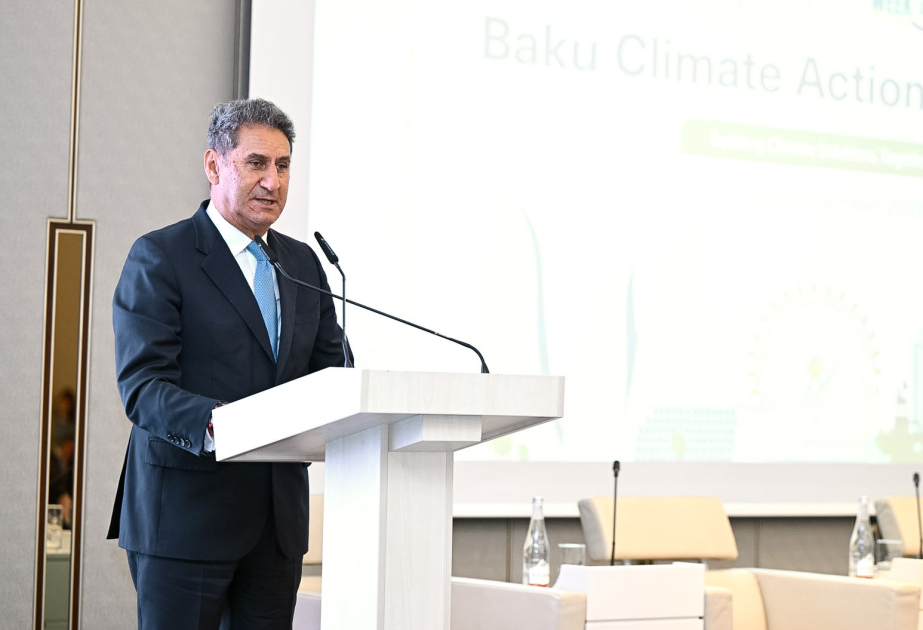 Françesko La Kamera: Qarşıdakı onillik elektrikləşmə onilliyi olmalıdır